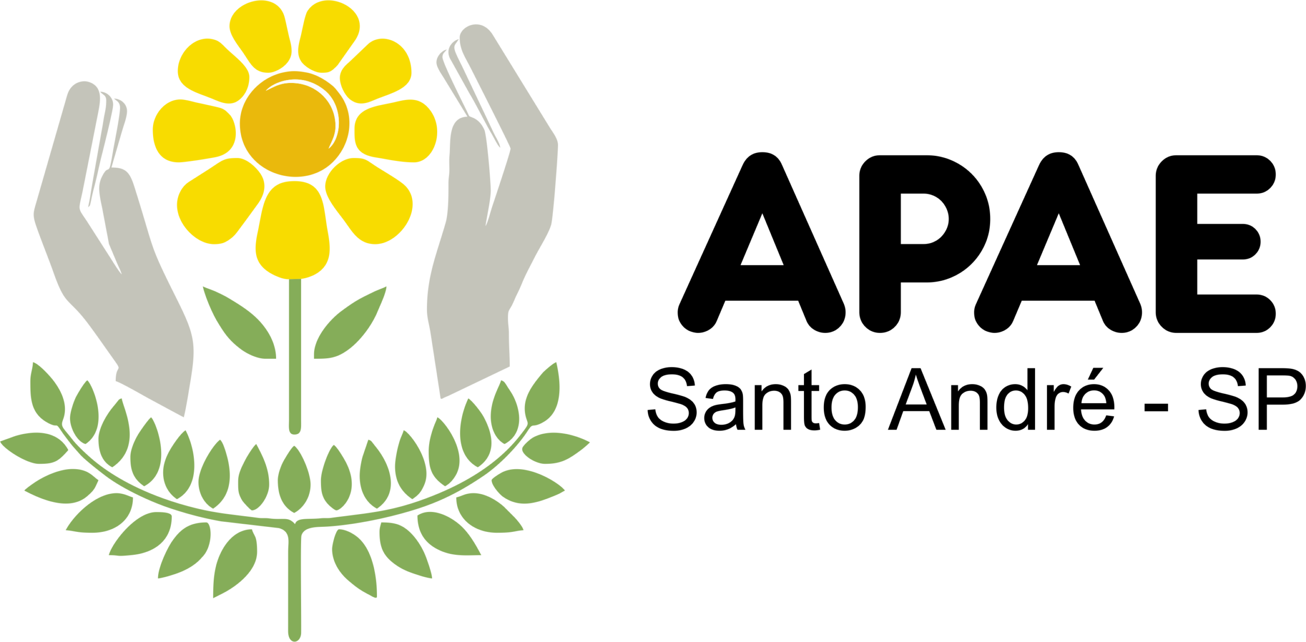 APAE Santo André